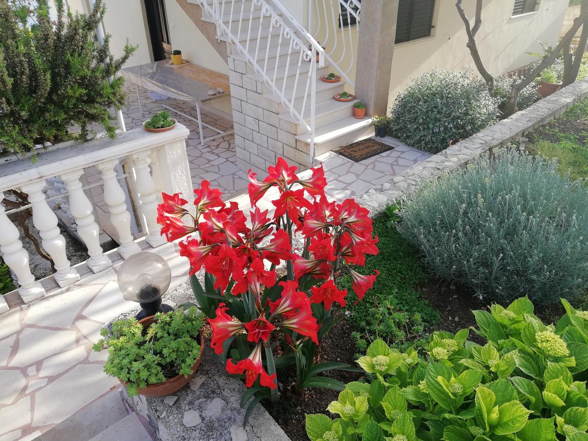 Apartment Cactus Donji Okrug  Extérieur photo